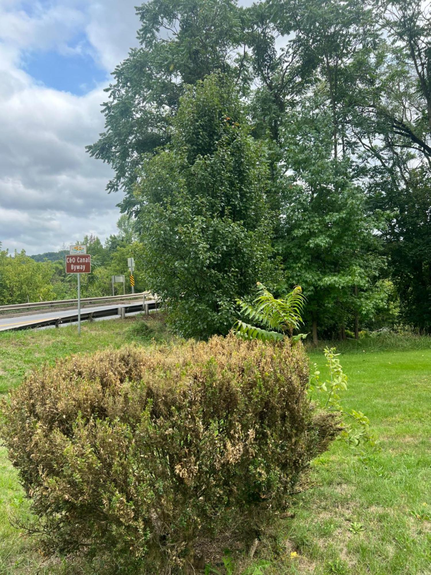 Potomac River Motel Hancock Εξωτερικό φωτογραφία